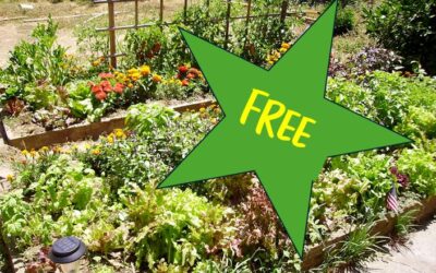 Free!!! Fabulous new Horticultural course starts Monday 29th April – 10-1pm.